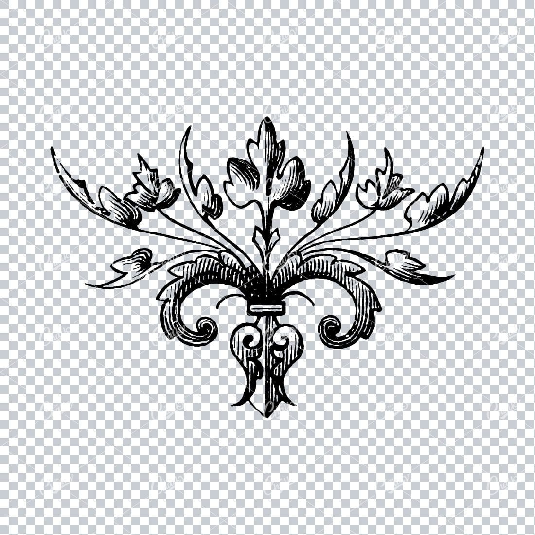Antique Flourished Line Art Design Element No.20