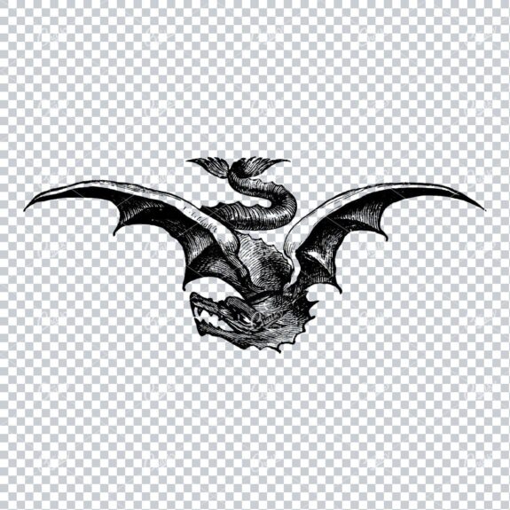Detailed Line Art Drawing of a Flying Dragon