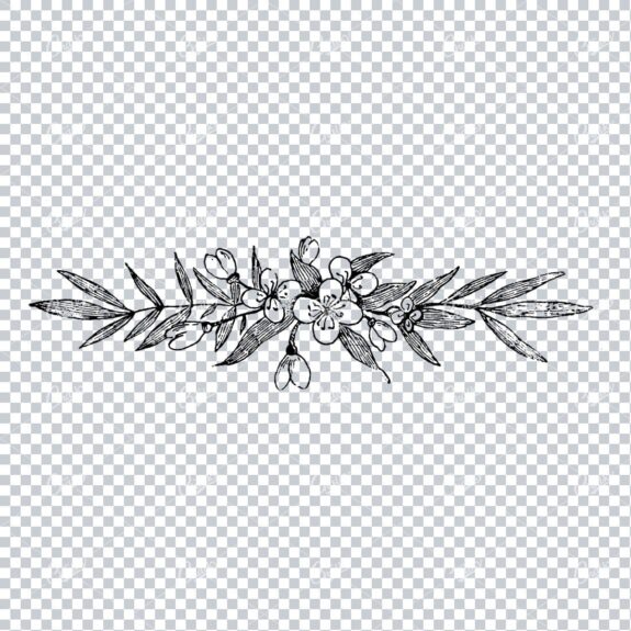 Antique Flourished Line Art Design Element No.27