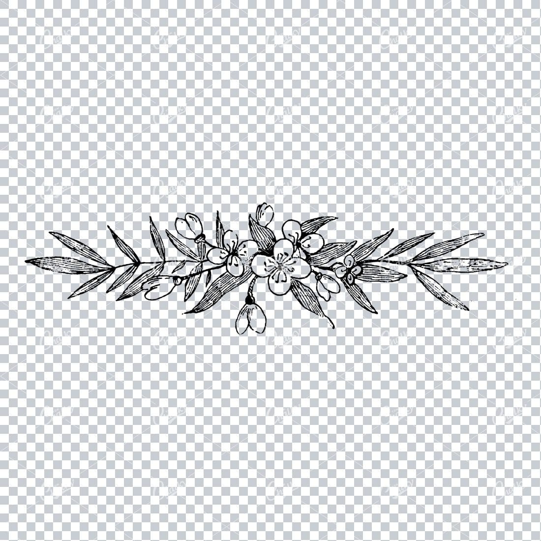 Antique Flourished Line Art Design Element No.27