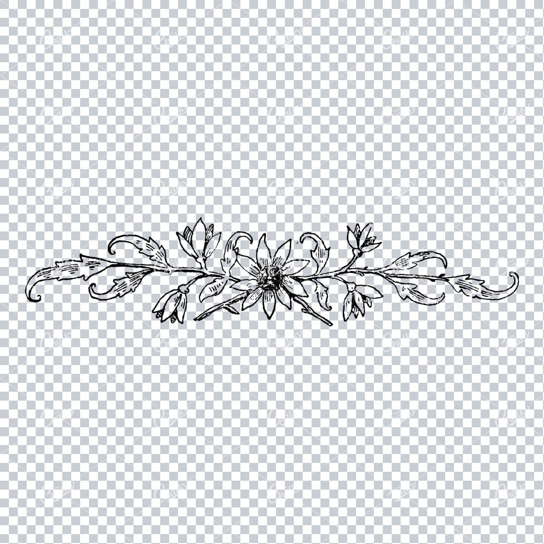 Antique Flourished Line Art Design Element No.31