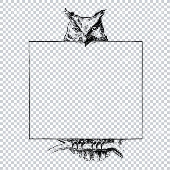 Vintage Marketing / Advertising Illustration with Banner Space for Text / Logo No.19