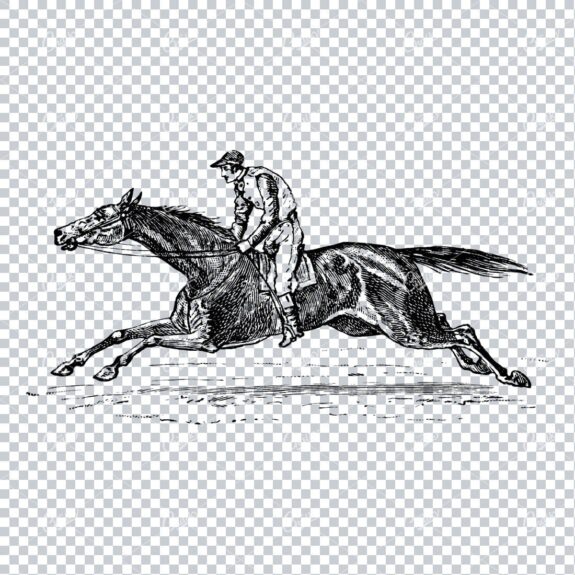 Illustration of Man Riding a Horse / Horse Racing No.1