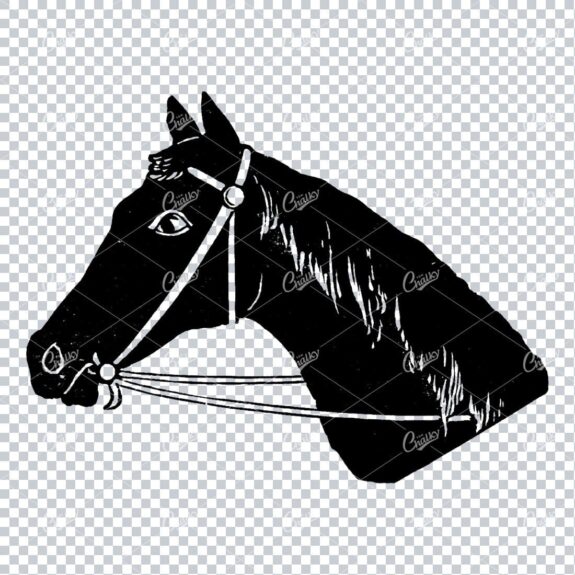 Vintage Engraving Art of a Horses Face No.1