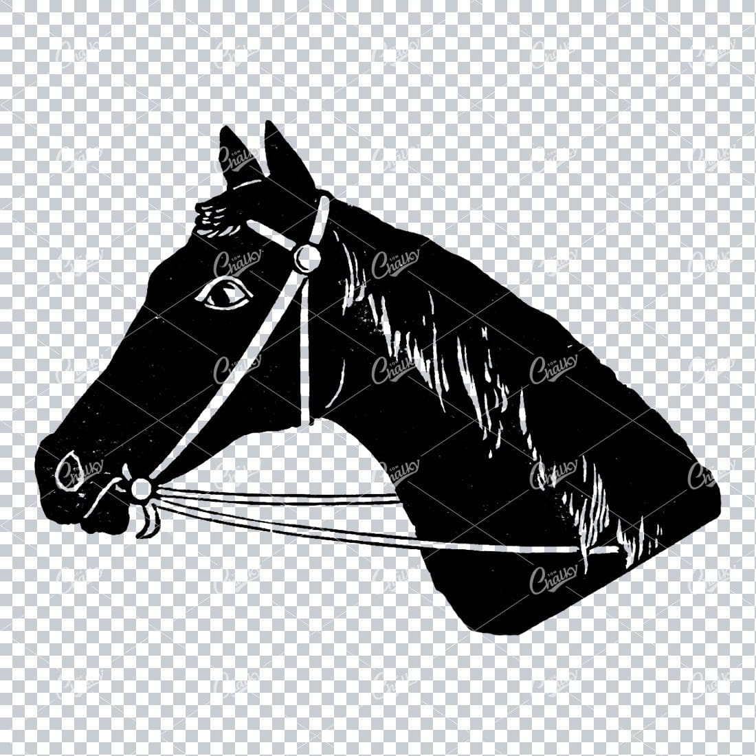 Vintage Engraving Art of a Horses Face No.1