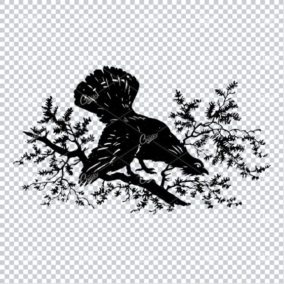 Vintage Line Art Illustration of a Rooster in a Tree
