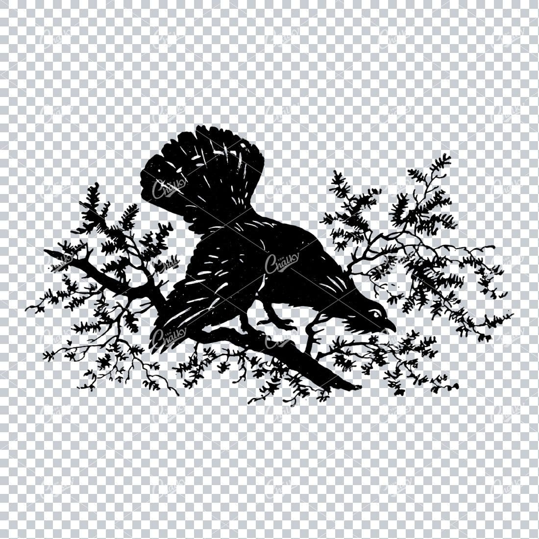 Vintage Line Art Illustration of a Rooster in a Tree