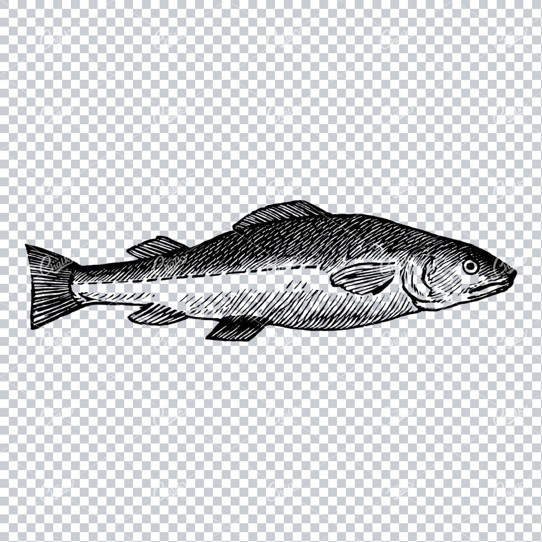 Vintage Line Art Illustration of a Fish No.2