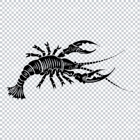 Vintage Engraving Drawing of a Lobster