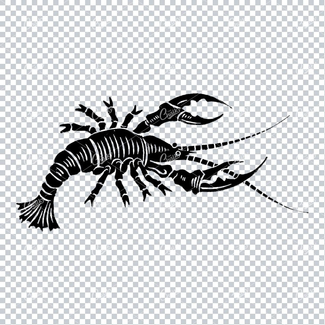 Vintage Engraving Drawing of a Lobster