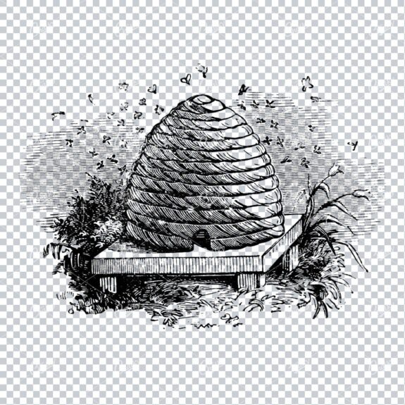 Old Line Art Illustration of a Bee Hive with Bees Flying Around