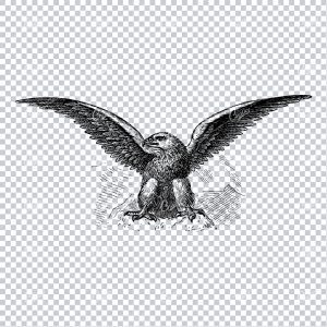 Old Artwork of an Eagle Spreading its Wings