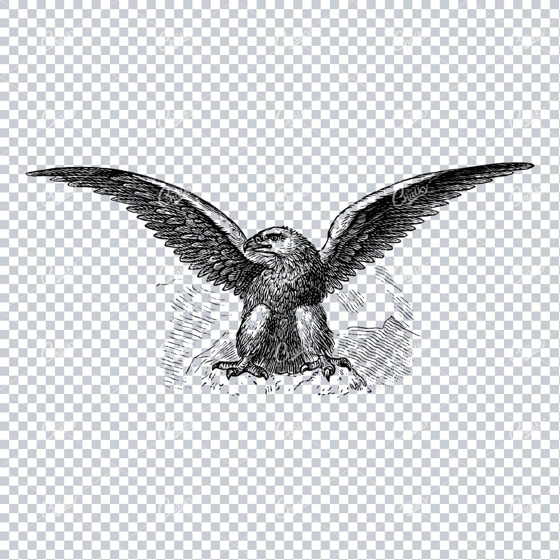 Old Artwork of an Eagle Spreading its Wings