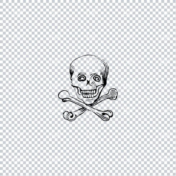 Vintage Line Art Illustration of a Skull with Crossbones No.6
