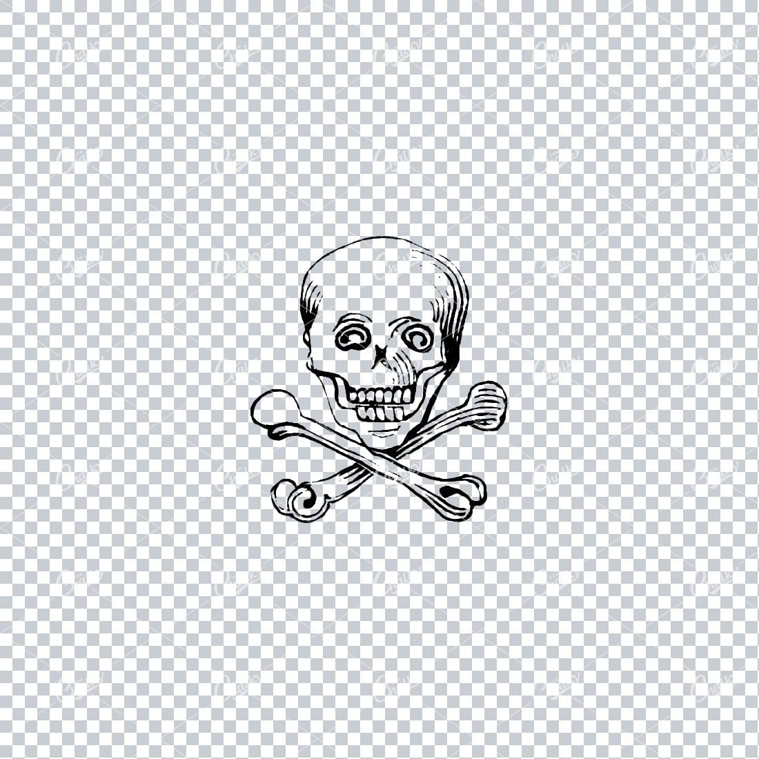 Vintage Line Art Illustration of a Skull with Crossbones No.6