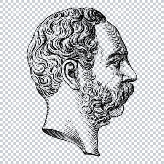 Side Profile Illustration of a Mans Face with Beard and Curly Hair