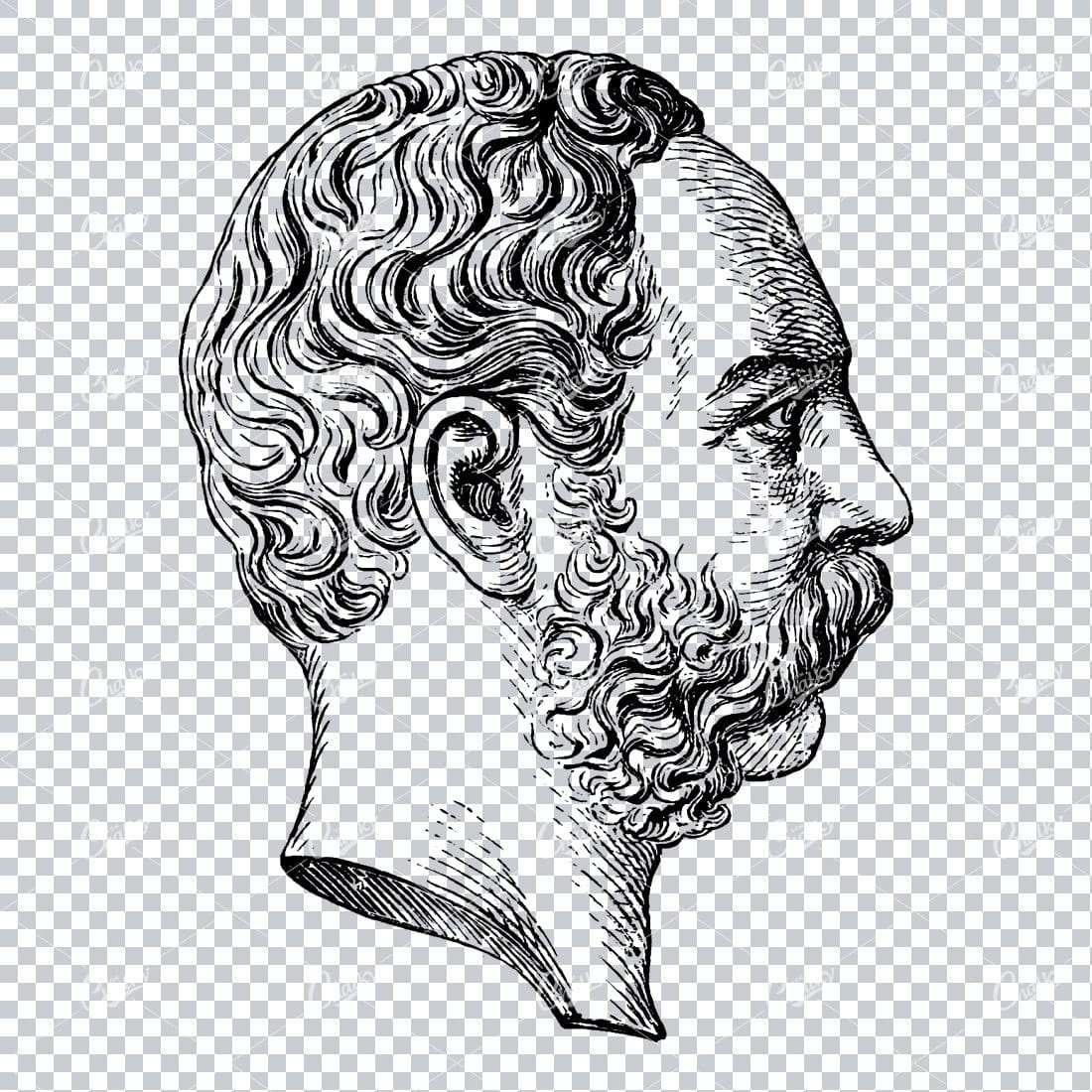 Side Profile Illustration of a Mans Face with Beard and Curly Hair