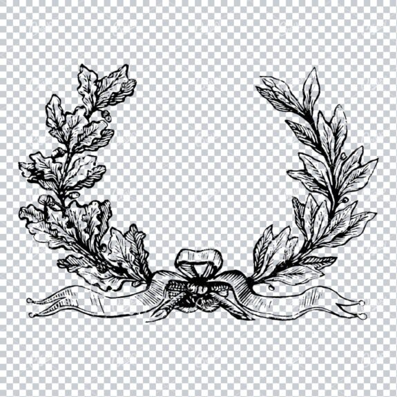 Floral Wreath Illustration No.5