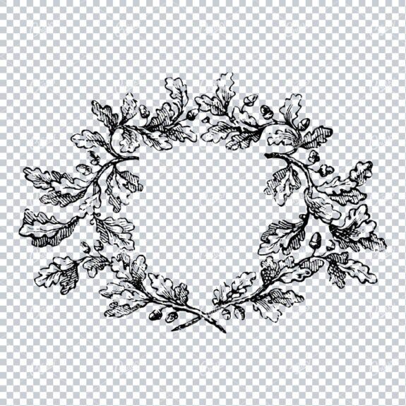 Antique Drawing of Oak Branches Making a Wreath
