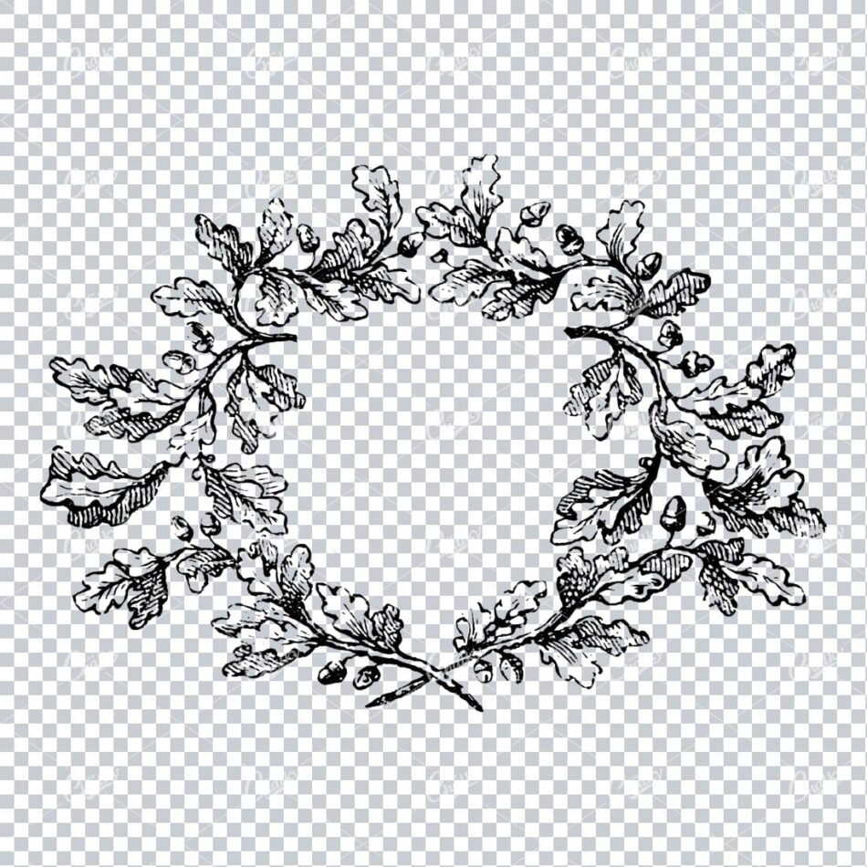 Oak Leaf And Acorn Wreath Forming An Oval Border With Crossed Stems At Base - Crisp Black-and-white Botanical Linework