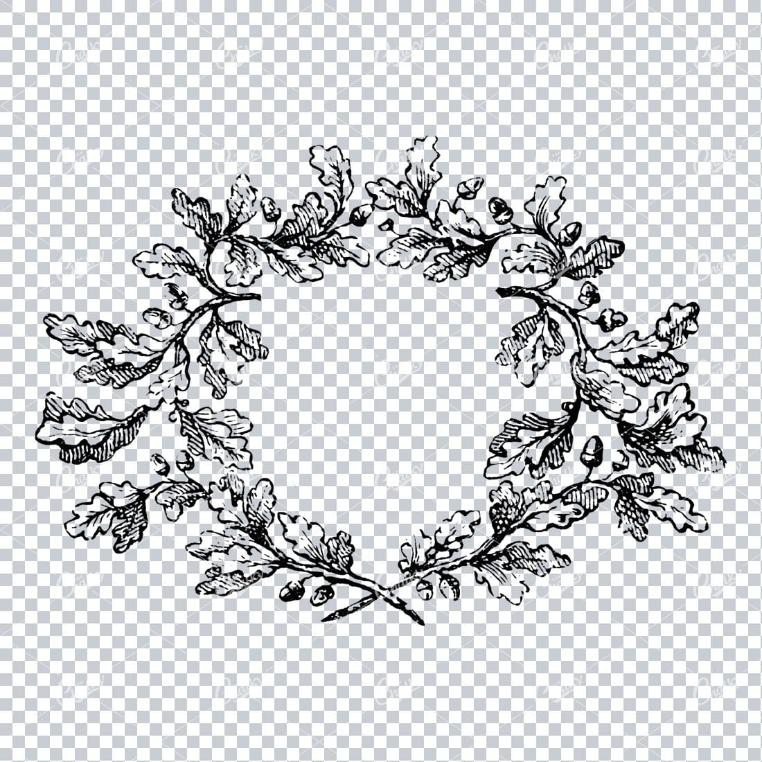 Antique Drawing of Oak Branches Making a Wreath