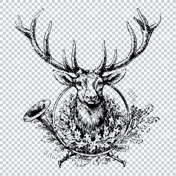 Vintage Line Art Illustration of a Stags Head inside Wreath