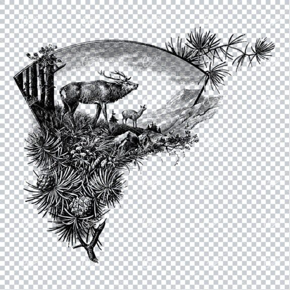 Victorian Engraving of Deer Stood in Field with Pine Cones and Branch
