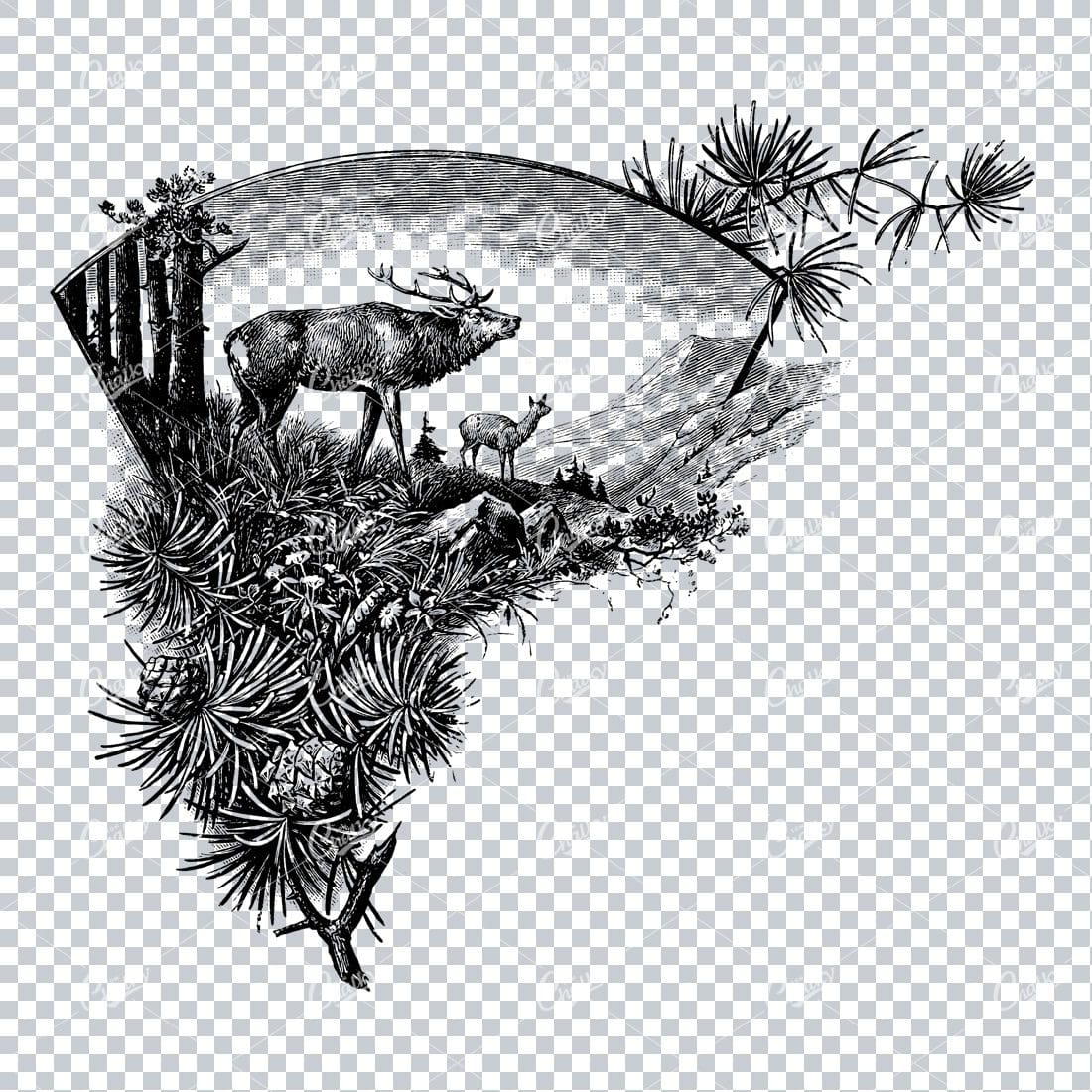 Victorian Engraving of Deer Stood in Field with Pine Cones and Branch