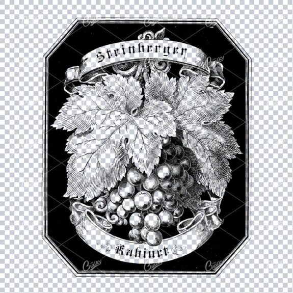 Vintage Wine Marketing / Advertising Illustration with Banner Space for Text / Logo No.3