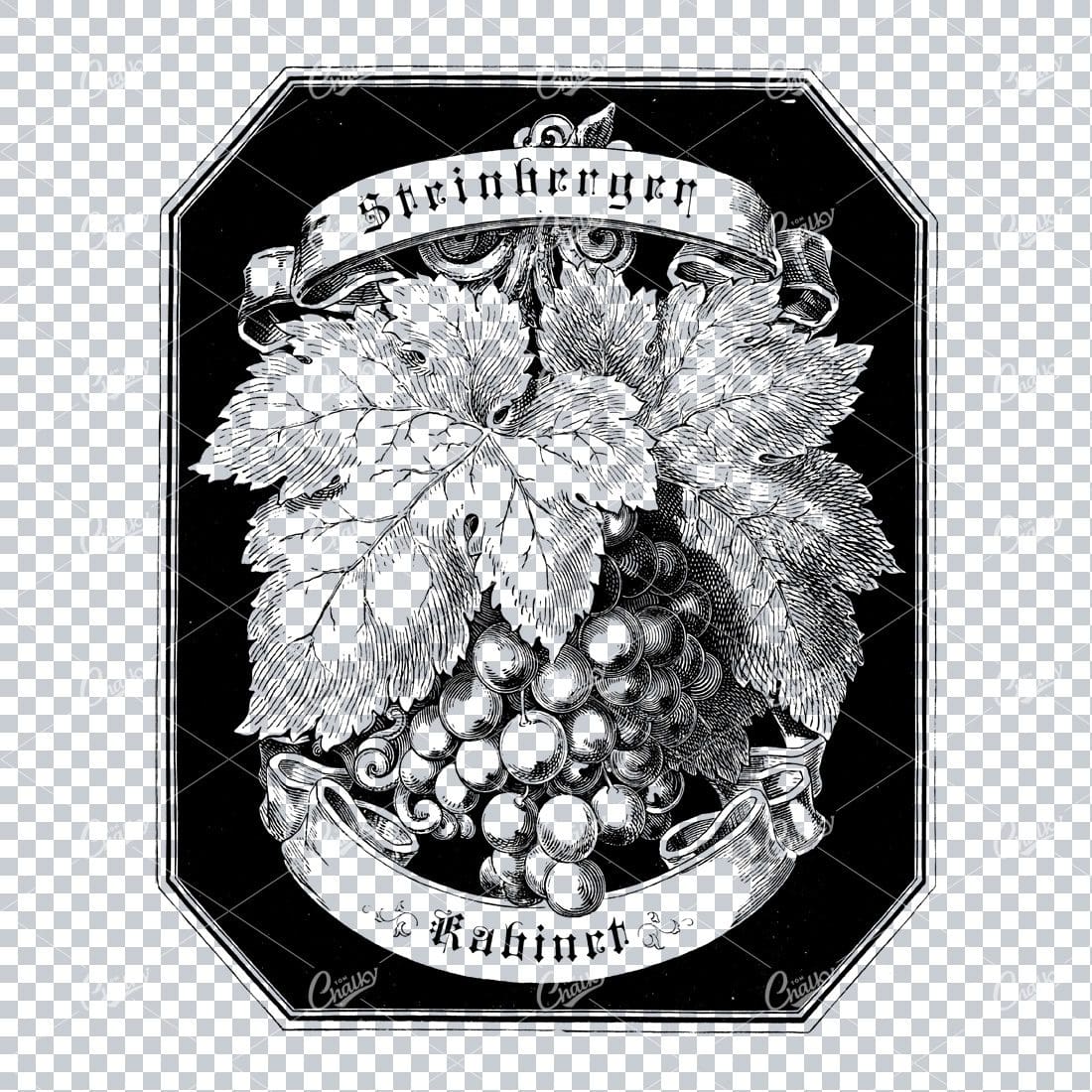 Vintage Wine Marketing / Advertising Illustration with Banner Space for Text / Logo No.3