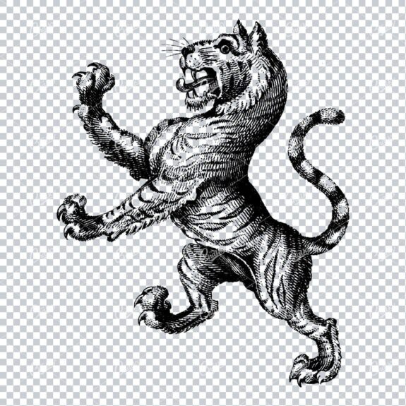 Heraldry Line Art Illustration of a Standing Tiger No.1