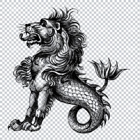 Heraldry Line Art Illustration of a Sea Lion