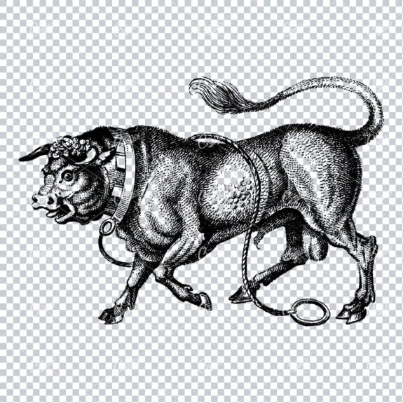 Heraldic Illustration of a Bull