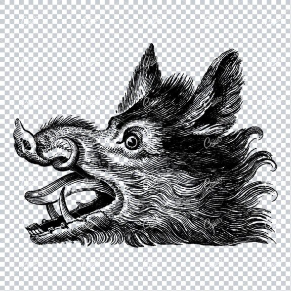 Heraldic Line Art Illustration of a Wild Boars Head