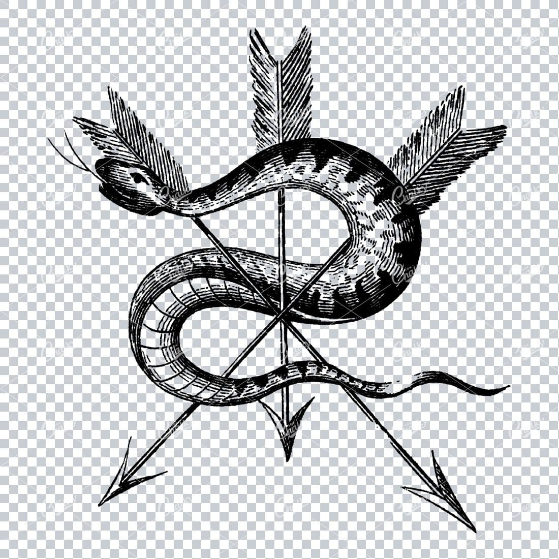 Antique Illustratin of a Snake Wrapped Around Three Arrows