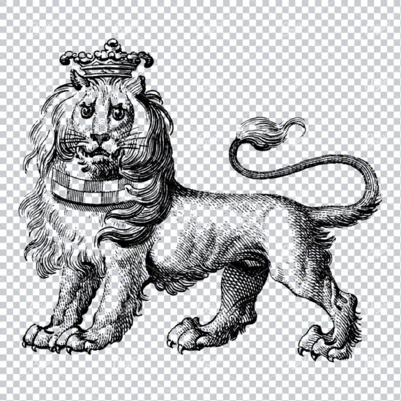 Heraldry Line Art Illustration of a Lion No.2