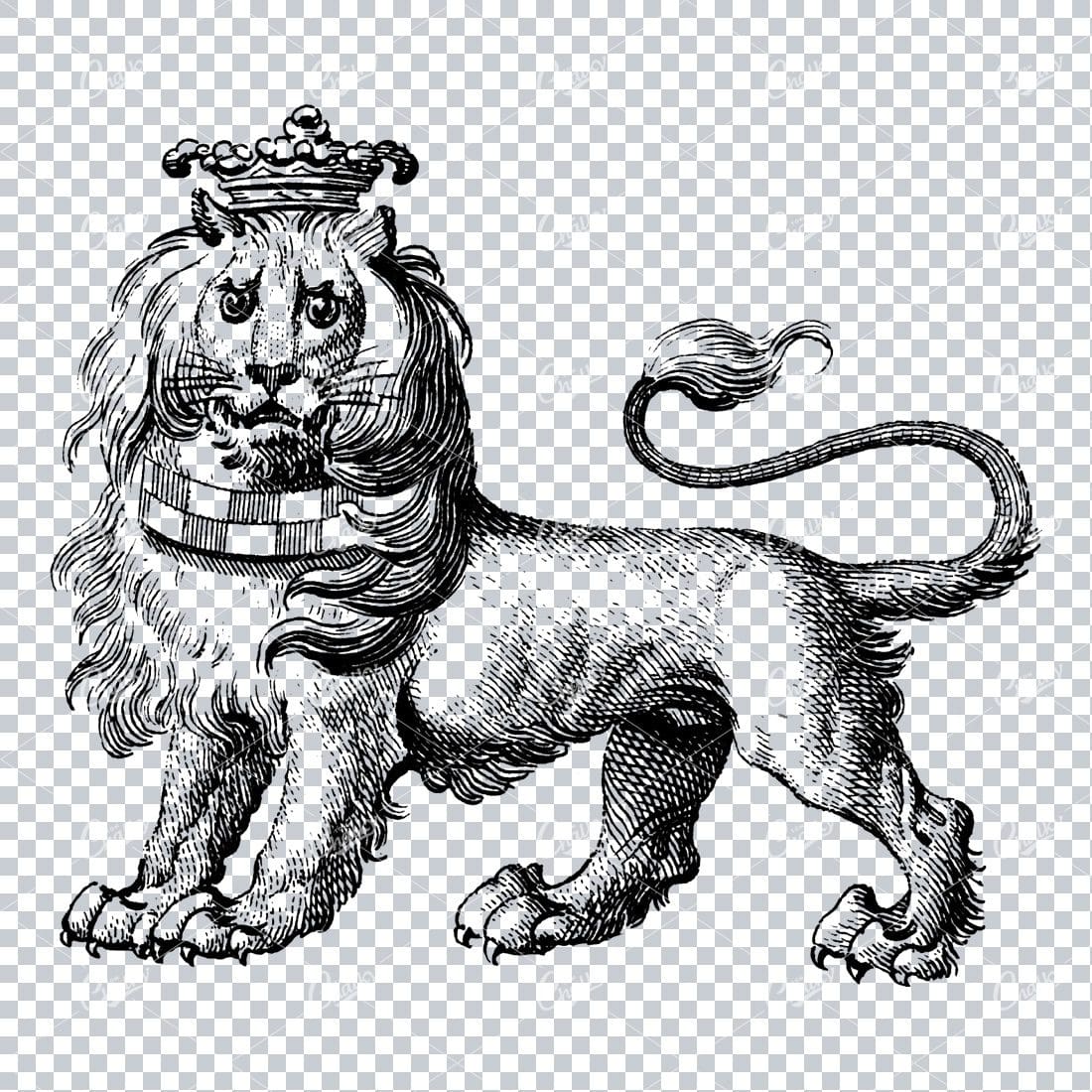 Heraldry Line Art Illustration of a Lion No.2