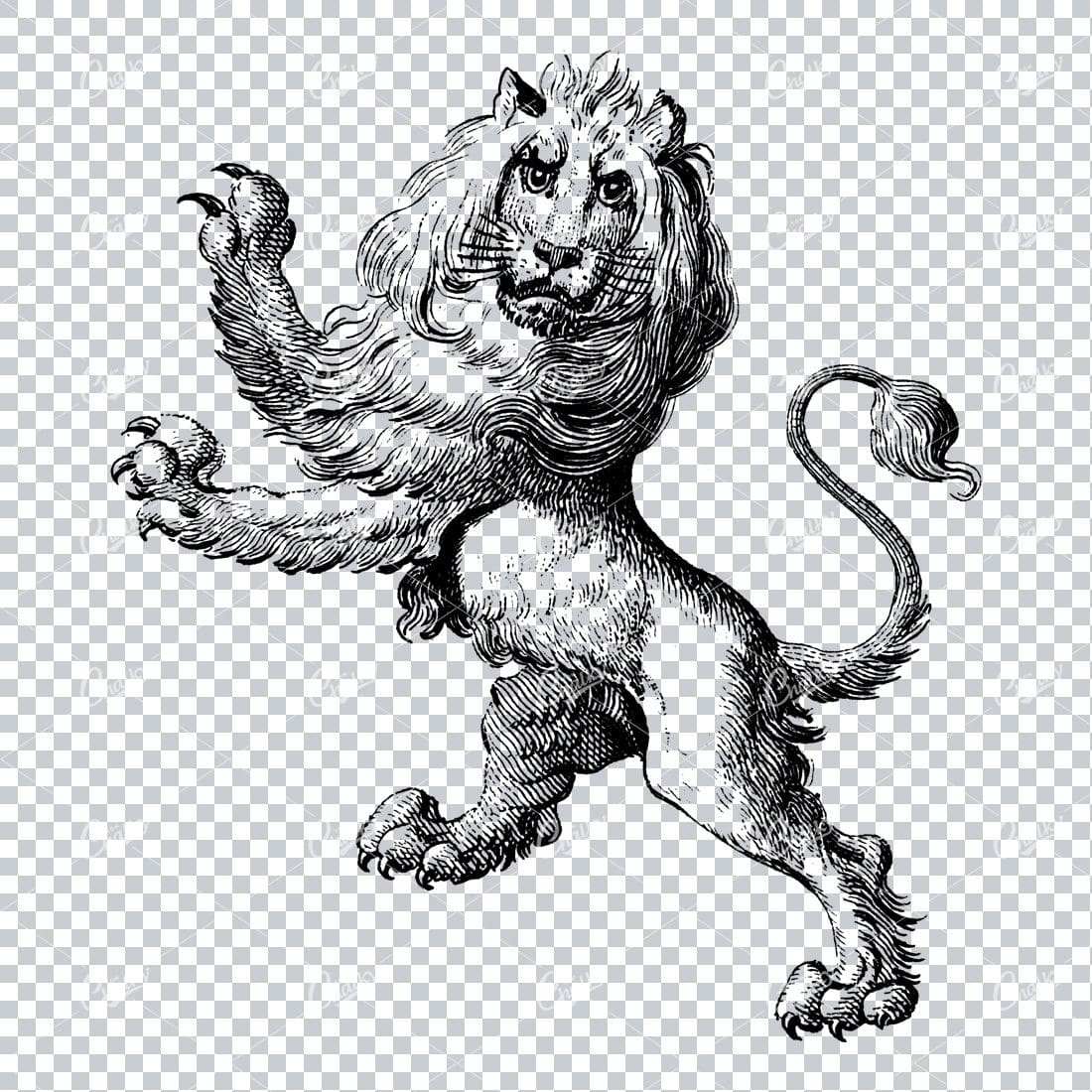 Heraldry Line Art Illustration of a Lion No.3