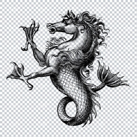 Heraldic Illustration of a Sea Horse