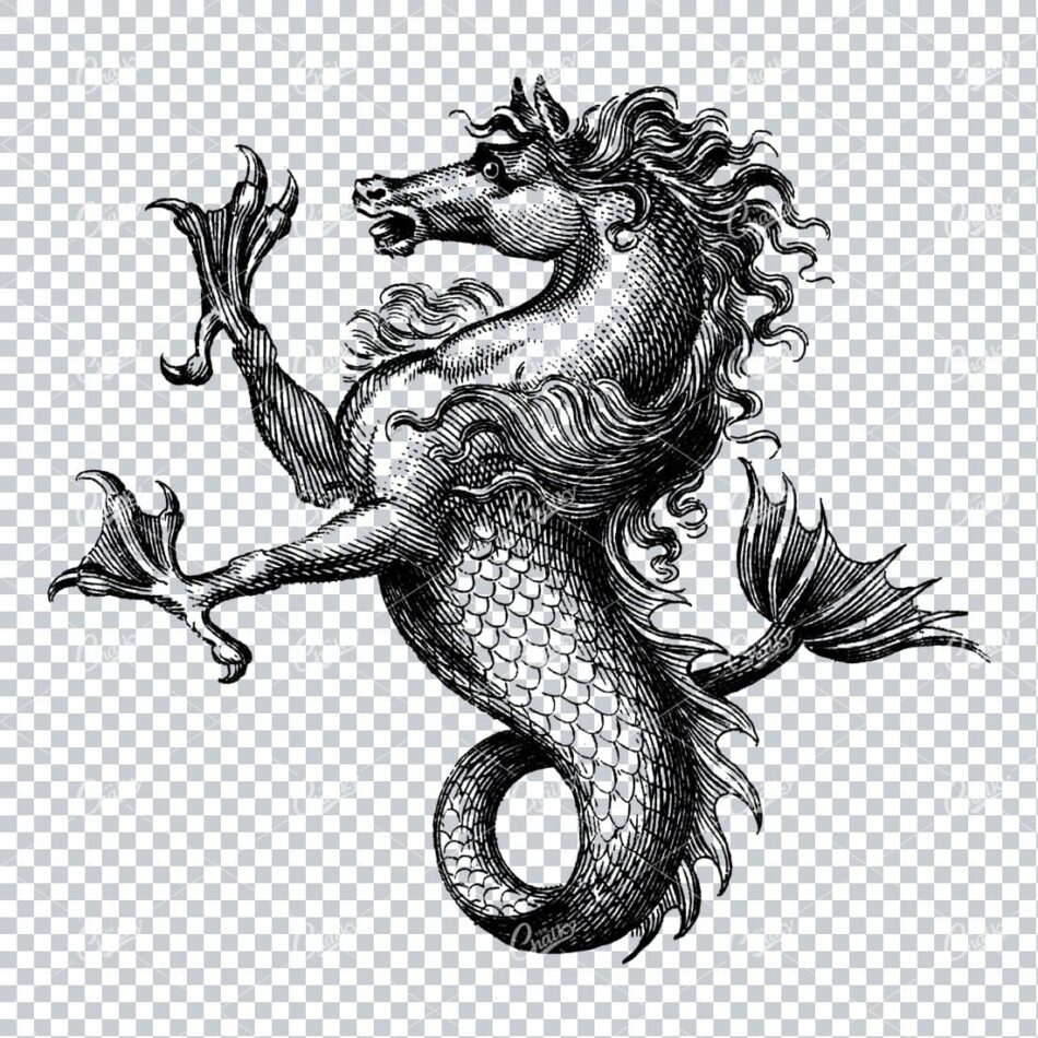 Heraldic Illustration Of A Sea Horse