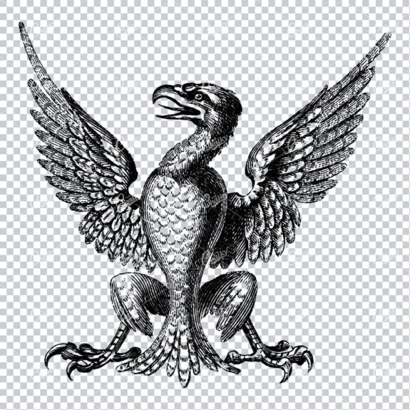 Heraldic Line Art Illustration of a Bird