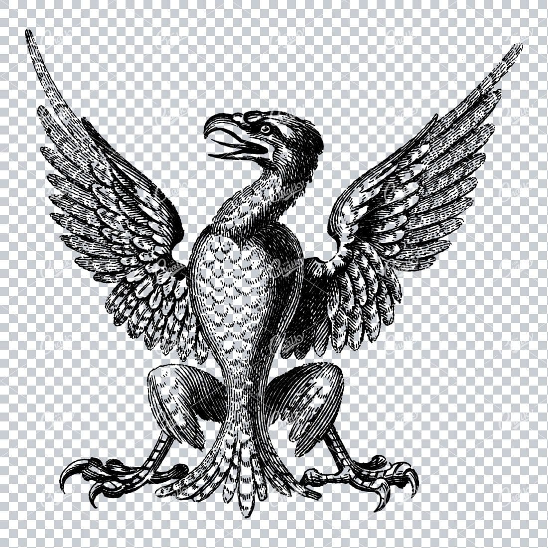 Heraldic Line Art Illustration of a Bird