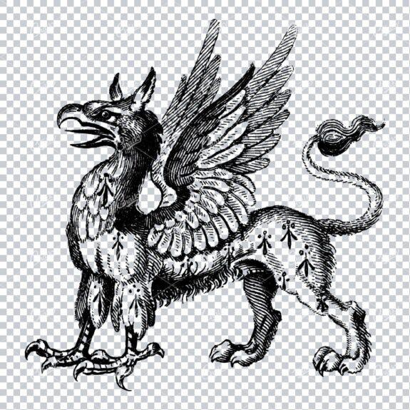 Vintage Heraldry Artwork - Griffin