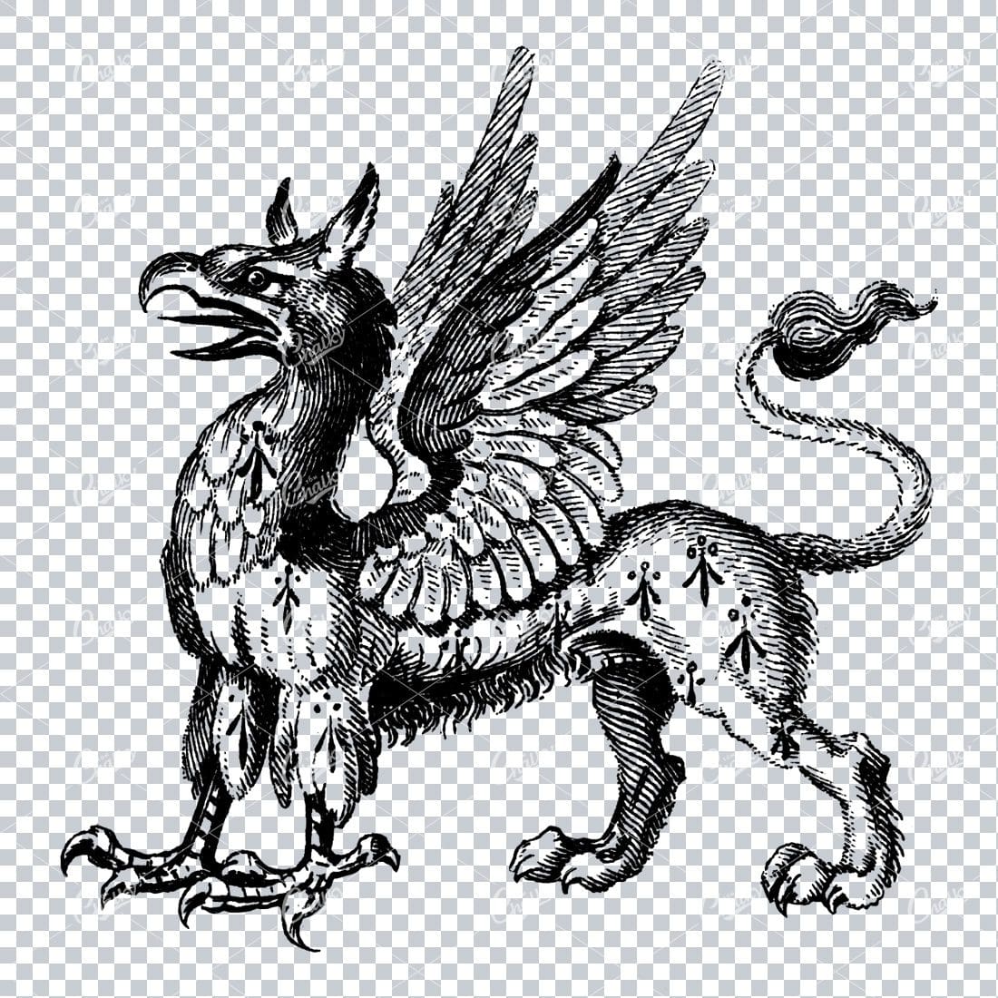Vintage Heraldry Artwork - Griffin