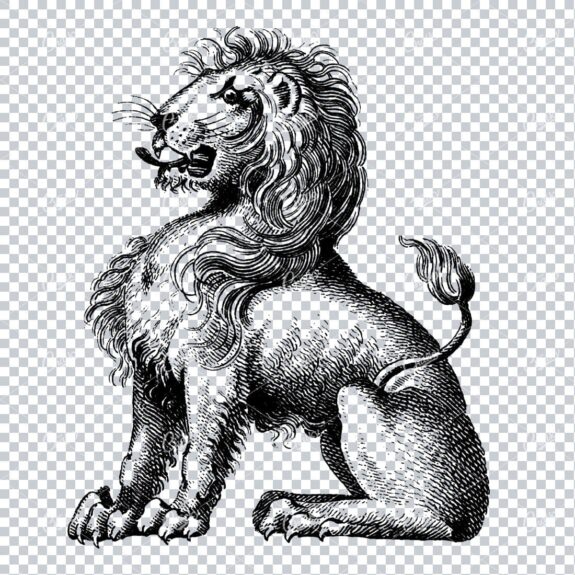Heraldry Line Art Illustration of a Lion No.4