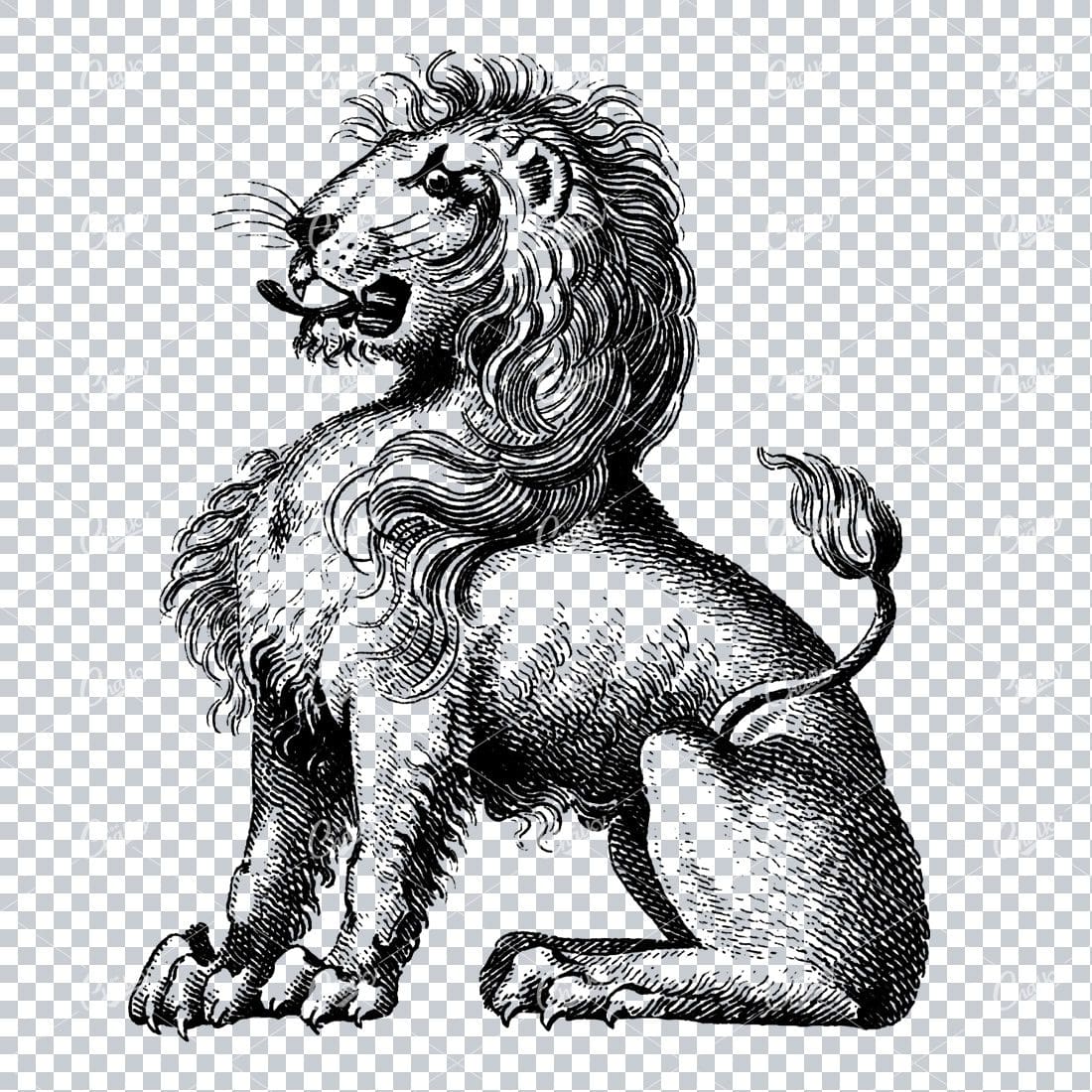 Heraldry Line Art Illustration of a Lion No.4