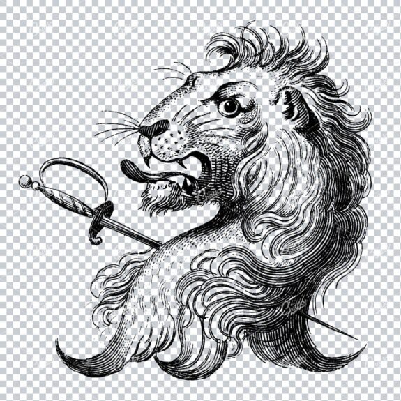 Heraldry Line Art Illustration of a Lion No.5
