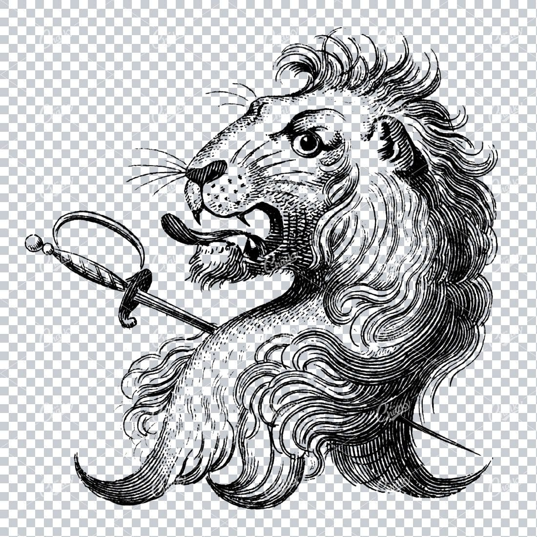 Heraldry Line Art Illustration of a Lion No.5