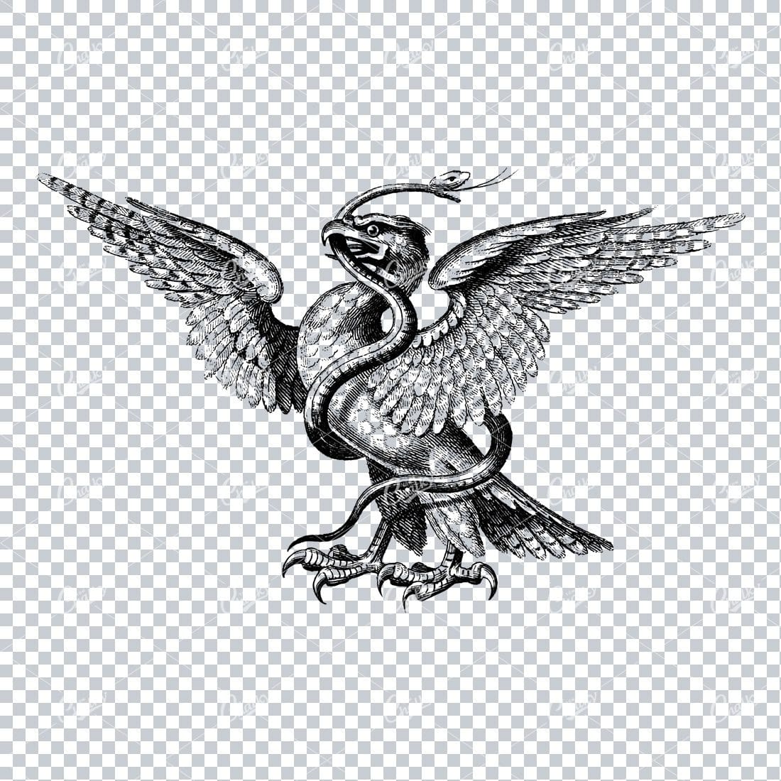 Vintage Heraldry Artwork - Eagle Wrestling a Snake