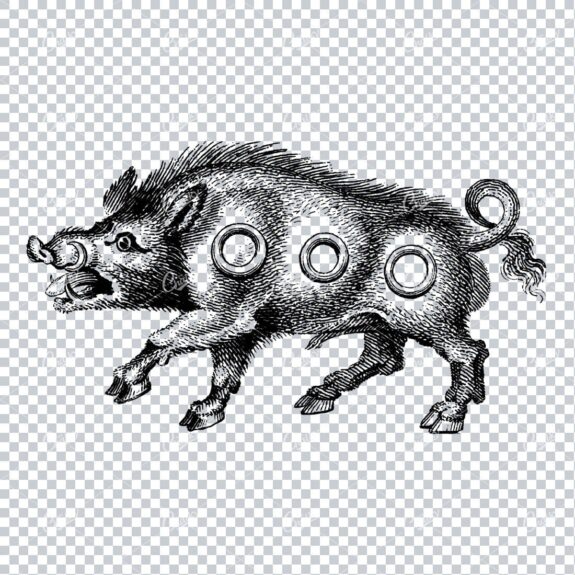 Vintage Heraldry Artwork - Wild Boar with Three Rings